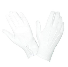 Snap Pallbearer Glove