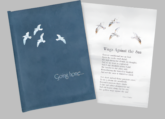 Going Home Blue Suede Register Book